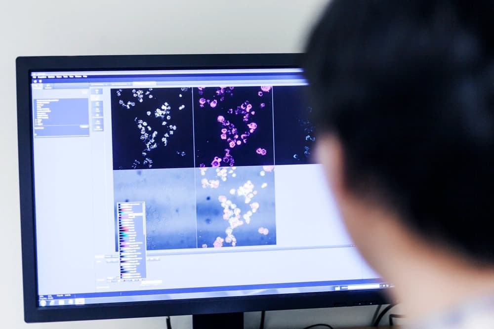 Segmentación anatómica en nubes 3D para planificación clínica y análisis médico